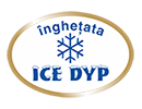 ICE DYP Balas